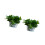 Multifunctional Iron Plant Shelf Balcony Gardening-White 1
