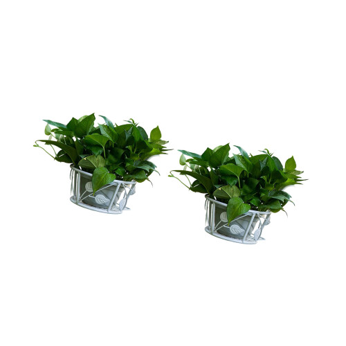 Multifunctional Iron Plant Shelf Balcony Gardening-White