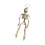 Natural Looking Posable Skeleton Decoration Tall Flexible-S 1