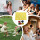 Team Building Tarp with Holes for Group Learning, Collaboration  Yellow 3