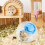 Hamster Ball, Dwarf Hamster Wheel, Small Pet Exercise Toy, Silent Spin Design 4