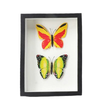 Memorabilia Showcase That Breathes Life Into Your Stories, Decorative Wooden Frames With Tempered Glass Protection, Multi-purpose Shadow Box For Your