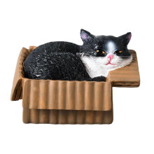 Lustige Katzen-Figur im Karton, Kunstharz, Ornament,- 5