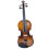 Professional Beginner Violin Set 1/2 Size, Spruce  with Maple Back and Sides, Includes Case 1