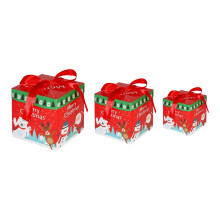 Safe PVC Holiday Decoration Box With Foldable Structure-2