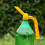 Bottle Caps Sprinkler,2 in1 Watering Can Head,Plastic Duals Head 7