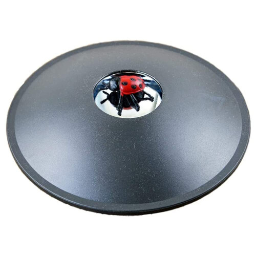 3D Mirascope Instant Illusion Maker Optical Projection Visual Illusion Parabolic Reflector for Gift Ladybug
