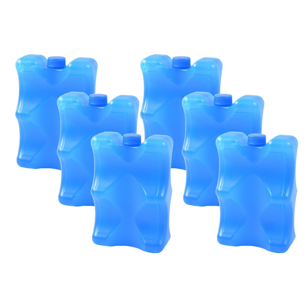 Pack of 6 reusable, leakproof ice packs (350 ml) for