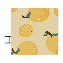 Outdoor Mat for Wet Grounds Camping Beach Indoor Yoga-o