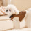 Thickened Brown Cats Vest For Winter Warmth Thick Polyester- S 4