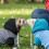 Pet Ferrets Sweatershirt Outfit And Walking Harness Set For-Red 7
