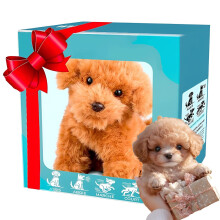 Robot Dog, Plush Dog, My Realistic Robot Cat, Interactive Puppy Toy That Behaves Like A Real Puppy, Walking, Barking, Tail Duster for Home B