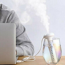 Mini humidificateur portable, format voyage, facile à utiliser, ultra silencieux, plusieurs récipients disponibles, arrêt automatique, 215 x 54