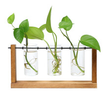 Pflanzenvermehrungsstation, Vintage-Glas-Zwiebel-Terrarium, Holzständer, Pflanzgefäß mit Naturholzrahmen, hitzebeständige Glasbehälter für