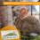 Hay holder, feed stand, grass storage cage accessory for small animals 2