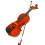 Violin Starter Set Solid Wood Violin Beginner with Case Bow Strings Complete Accessories Violin 4/4 3/4 1/2 1/4 1/8 (3/4) 1