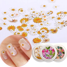Een extravaganza aan nagelstickers met 3D-margrietdesign en pailletten, geschikt voor professionele manicures, nagelbeginners en salongebruik. Veilig