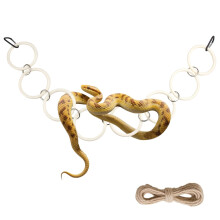 Acryl Reptielen Klimketting Klein huisdier Slang Oefenspeelgoed