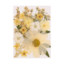 Dried Pressed Flower for Resin Molds Natural Dry Flower-C