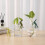 Easyly Install Rabbit Themed Hydroponic Plant-Emerald green 2