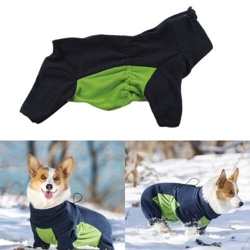 Costume d'Halloween pour chien de compagnie, doublure-2XL 1