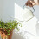 Efficient Plant Watering Tool Featuring Long Spout For-White 6