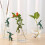 Easyly Install Rabbit Themed Hydroponic Plant-Emerald green 5