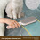 Durable Cats Hair Removal Device Soft Texture Safe For-pink 6