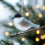 Hanging Chrismas Tree Decors Bird Watcher Collection-as picture 7