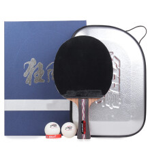 Table Tennis Bat Set, Professional Table Tennis Bat, ITTF Approved Rubber, for Intermediate Players and Advanced Users / 1 Pack / Long Handle