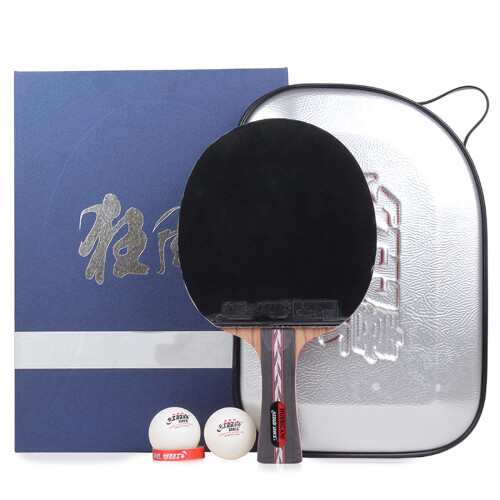 Table Tennis Bat Set with Case, ITTF Approved Rubber, Long Handle
