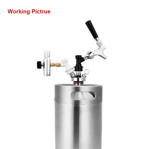 Home Brew CO2 Regulator 0-60PSI Pressure Valves Kitchen-Style B 2