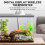 Thermomètres d'aquarium, capteurs de haute précision, dispositif 4