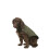 (XL, Khaki) Trespaws Dog Puffer Coat Lloyd 4