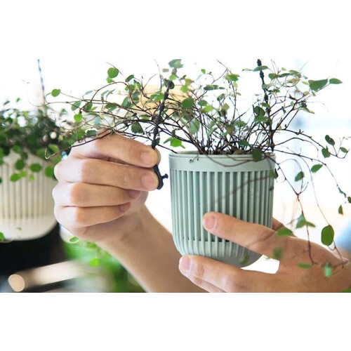 Drainage Hole Design, Minimalist Design Emphasizes Function and Form, Plastic Hanging Basket with Dual-Layer Structure, Self Watering Hanging Planters 2