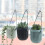Drainage Hole Design, Minimalist Design Emphasizes Function and Form, Plastic Hanging Basket with Dual-Layer Structure, Self Watering Hanging Planters 8