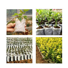 Biodegradable Nursery Bags, Non-Woven Fabric Seedling Bags For Healthy Root Growth In Home Or Outdoor Gardens, 200Pcs White Biodegradable Plant Grow B