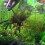 Aquatic Symphony: Κιτ εργαλείων Aquascape για ενυδρείο, ακριβές κλάδεμα και φροντίδα, 7