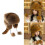 Furry Soft Raccoon Hat Warm-primary color Small and medium. 3