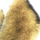 Multifunctionele comfortsjaal Premium winter-nekwarmer-Groente 5