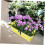 Large Rectangular Windowsill Planter Box with Tray Indoor Outdoor Flower Pot Set Yellow 3