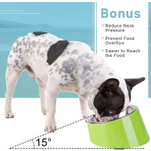 Pet Mealtime Innovation, Concentrated Food Slanted Design, Reduced Strain Elevated Tilted Dog Bowl, Easy to Clean Dishwasher Safe, Stainless Steel