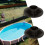 5 Pack Stabilizing Legs Secure Pool Equipment Support Legs 2