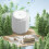 Kitchen Air Purifiers Air Purifying Machine Small Desktop Odor 2