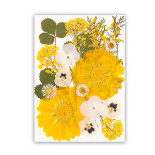 Preserved Flower Crafting Supplies For Seasonal Decorations-E
