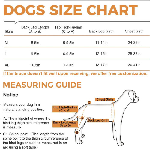 Comfortable Fit Canine Leg Guards Features Breathable-M 2
