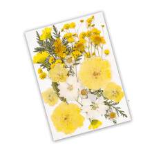 1pc Premium Pressed Floral Collection DIY Art Project Floral-C
