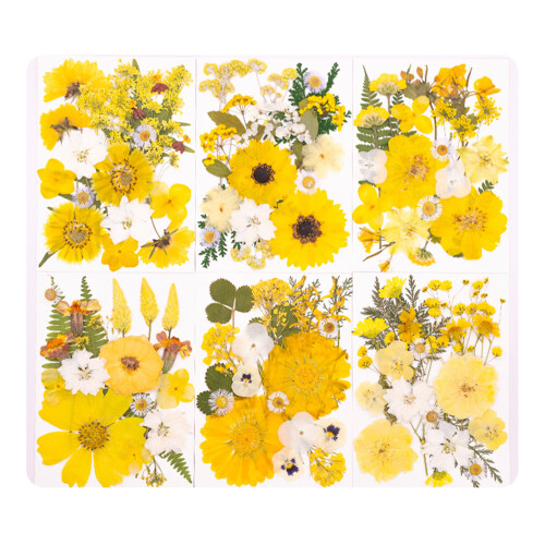 1pc Dried Flower Craft Pack Versatile DIY Decors Accent For-D 1