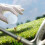 Golf Balls for Play and Training, 3X Longer Driving Distance  Precise Control for Beginners. 2
