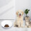 Automatic Pet Feeder with Programmable Timer, 6Meal Portion Control for Cats and Dogs, Pink 4